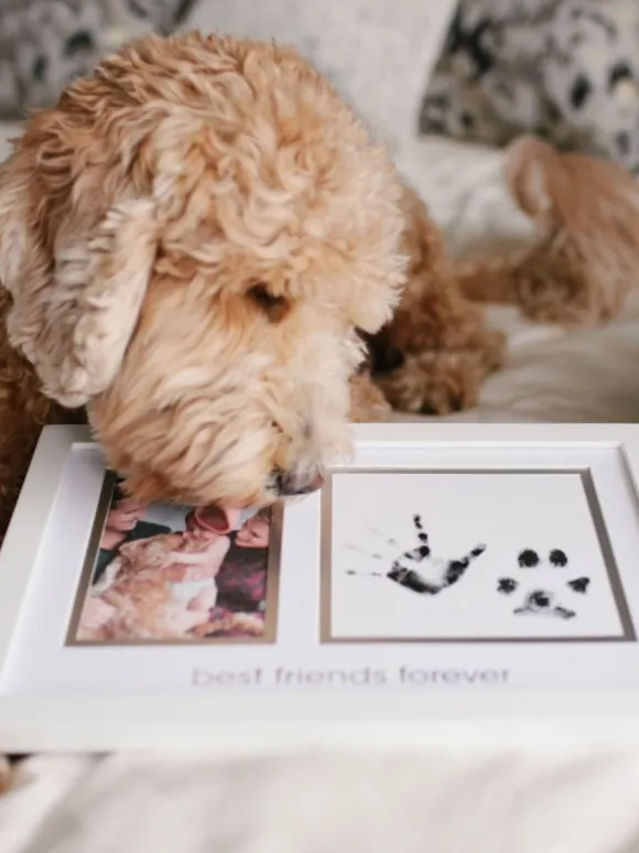 Best Friends Forever -kehys – Lapsi & Lemmikki
